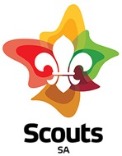 scouts.jpg